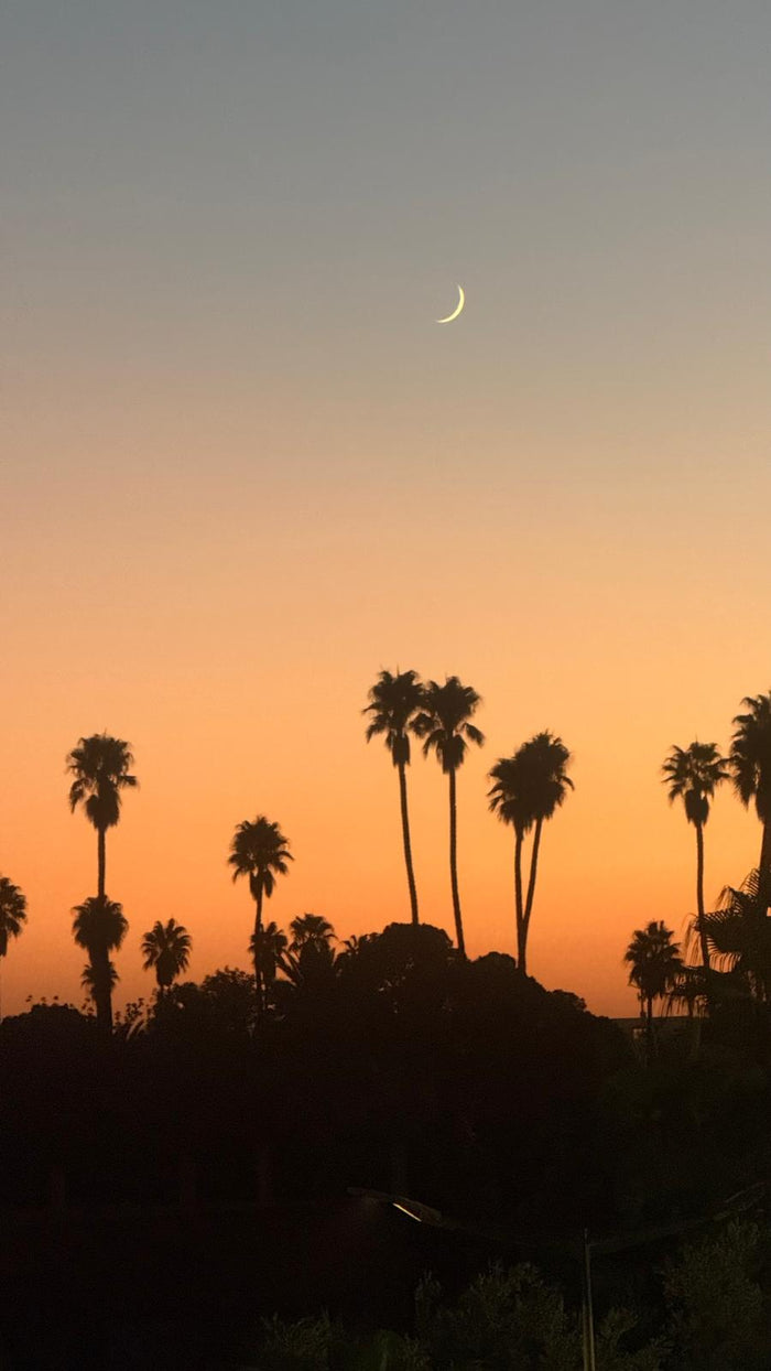 Avondlucht met palmbomen in Marrakech